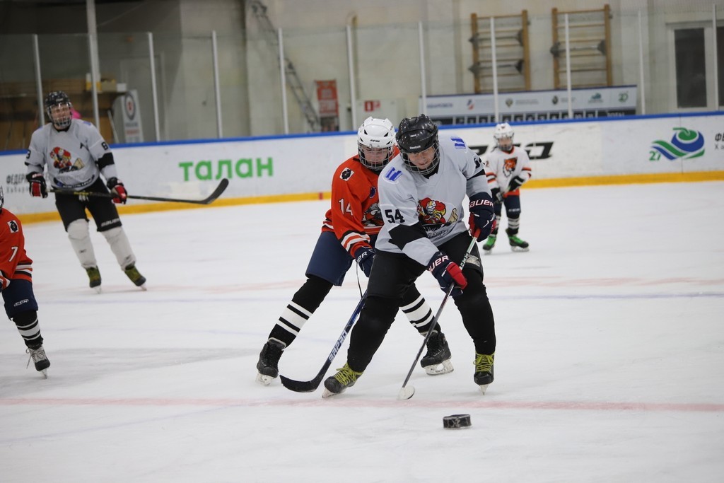 «Матч добра» по адаптивному хоккею состоялся в Хабаровске